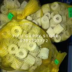 Sứ lọc - vật liệu lọc tốt cho hồ cá. túi 200gram