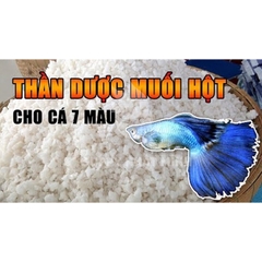 Muối Hột Tinh Khiết - Thần Dược Cần Thiết Cho Cá Cảnh (1kg)