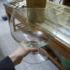 Bể Cá Thủy Tinh Hình Dạng Ly Có Chân - Kiểu Dáng Đẹp, Tinh Tế, Phù Hợp Trang Trí