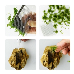 Keo Dán Rêu, Lũa, Ráy, Cây Thuỷ Sinh - Chuyên Dùng Dán Dưới Nước (tube 5g)