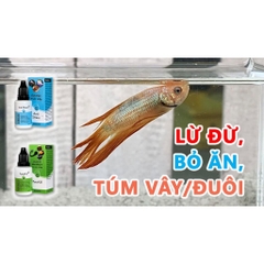 ANTI STRESS - Giải Độc Khẩn Cấp, Giảm Căng Thẳng và Phòng cho Cá Cảnh