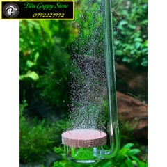 Cốc Sủi CO2 EBI-VN, Cốc Sủi Siêu Mịn dạng Gốm và Acrylic Cho Hồ Cá Thủy Sinh