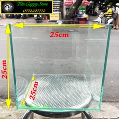 Hồ Kính Cubic  - Hình Vuông - Thích Hợp Làm Hồ Cá, Bể Cá Thủy Sinh, Hồ Kính Trưng Bày