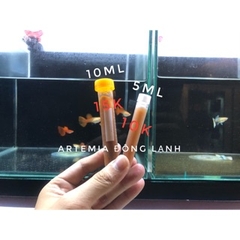 Artemia Ống - Thức Ăn Tốt Cho Cá Cảnh Nhỏ - Dùng Trực Tiếp Ko Cần Ấp