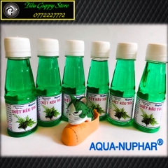 Nuphar Diệt Rêu Tóc - Dung Dịch Chuyên Dụng Cho Hồ Cá Thủy Sinh (Chai 100ml)