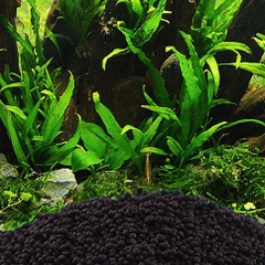 Phân Nền Thủy Sinh SENDA - Phân Nền Công Nghệ Nhật