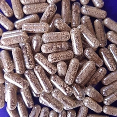 Artemia nước ngọt - viên con nhộng, dễ dàng ấp nở và nuôi sinh khối