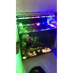 Đèn Led T4 Chìm Dưới Nước Giá Rẻ cho Bể Cá Cảnh - Nhiều màu sắc, Nhiều Kích Thước