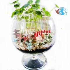 Bể Cá Thủy Tinh Hình Dạng Ly Có Chân - Kiểu Dáng Đẹp, Tinh Tế, Phù Hợp Trang Trí