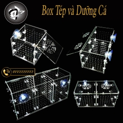 Box Tép và Lồng Dưỡng Cá bằng Mica Siêu Trong - KT: 10x10x10 và 20x10x10cm