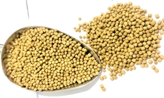 Cám MULTI COLOR BUTTERFLY CARP (Hạt Nổi) - Thức Ăn Dinh Dưỡng Cao Cấp cho Cá Chép Sư Tử