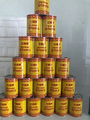 Artemia Ấp Nở TQ Lon Vàng tỉ lệ nở cao giá trị dinh dưỡng cao