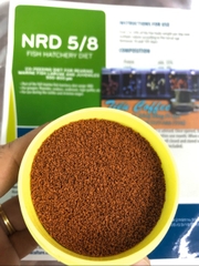 Cám INVE 5/8 - thức ăn dinh dưỡng dành cho cá (trọng lượng 1kg và 3kg)