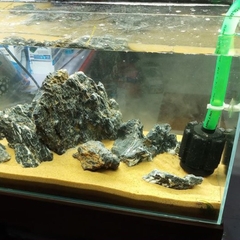 Cát Nắng Vàng Trải Nền Bể Thuỷ Sinh | Cát Trang Trí Bể Cá Cảnh, Thuỷ Sinh