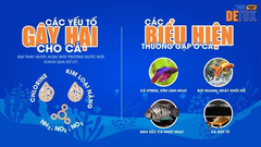 KOIKA DETOX | Dung Dịch khử Clo, Khử Kim Loại Nặng, Giảm Stress, Chống Sốc Chuyên Cho Cá Tép cảnh