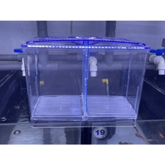 Lồng đẻ Guppy kết hợp Keo show Betta 2 ngăn (Kích thước 18x9x12cm)