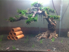 Phân Nền Thủy Sinh SMEKONG - Phân Mekong Chất Lượng Tốt, Giá Thành Rẻ