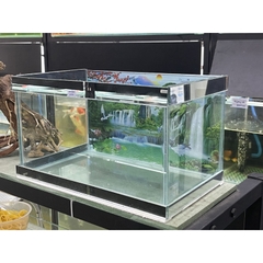 Hồ Cá Giá Rẻ dán sẵn Phông Nền nhiều kích thước (kính 4li - giao nội thành TPHCM)