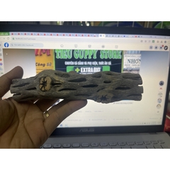 Lũa xương rồng Cholla Cactus size 15 cm chuyên dùng cho tép cảnh