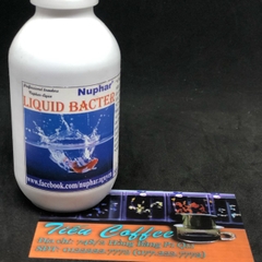 LIQUID BACTER - dung dịch chống sốc nước cho cá