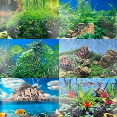 Tranh Nền Trang Trí Hồ Cá - có 2 mặt tùy thích thay đổi (giao mẫu ngẫu nhiên)