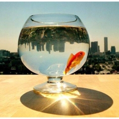 Bể Cá Thủy Tinh Hình Dạng Ly Có Chân - Kiểu Dáng Đẹp, Tinh Tế, Phù Hợp Trang Trí