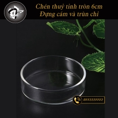 Chén Thuỷ Tinh hình tròn Đựng thức ăn, trùng chỉ cho Cá và Tép (đường kính 6cm)