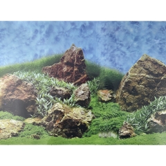 Tranh Nền Trang Trí Hồ Cá - có 2 mặt tùy thích thay đổi (giao mẫu ngẫu nhiên)