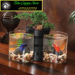 Bể Cá Thủy Tinh Hình Trụ Tròn - Thích Hợp Nuôi Cá, làm Thủy Sinh, Bán Cạn....