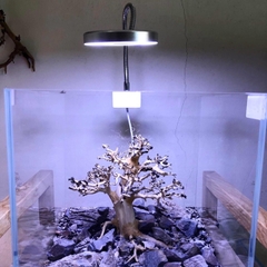 Đèn Led Kẹp Hồ Cá Thuy Sinh E-310