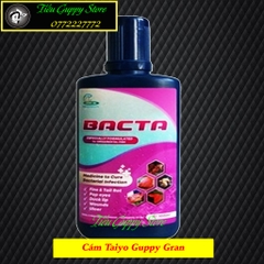 BACTA - Sản Phẩm Hỗ Trợ Cá Bị Lở Loét và Đục Mắt đến từ Thái Lan