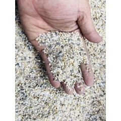 1 kg Sỏi thiên nhiên để trang trí hồ cá, chậu cây