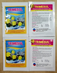 TRIMESUL - Hỗ Trợ Đường Ruột Cho Cá