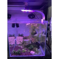 Đèn Led kẹp Vipsun M-280 chuyên dùng cho hồ cá