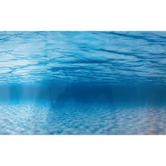 Tranh Nền Trang Trí Hồ Cá - có 2 mặt tùy thích thay đổi (giao mẫu ngẫu nhiên)