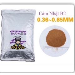 Cám Nhật B2 Chuyên dụng cho cá Guppy và cá cảnh nhỏ (bao lớn)