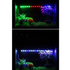 Đèn Led T4 Chìm Dưới Nước Giá Rẻ cho Bể Cá Cảnh - Nhiều màu sắc, Nhiều Kích Thước
