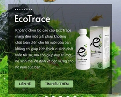 Combo Vi sinh DuraFast & Khoáng chọn lọc cao cấp EcoTrace xử lý độc tố cho hồ cá. Chai 300ml
