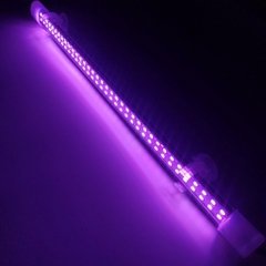 Đèn Led XML Cao Cấp 2 Hàng Bóng cho Hồ Cá Rồng