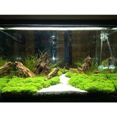 1kg Cát Thạch Anh Trắng Chuyên Dùng để Trải Nền, Trang Trí Hồ Cá và Lọc Cặn