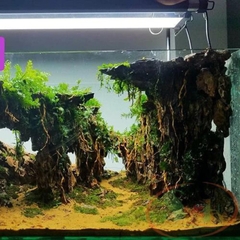 Cát Nắng Vàng Trải Nền Bể Thuỷ Sinh | Cát Trang Trí Bể Cá Cảnh, Thuỷ Sinh