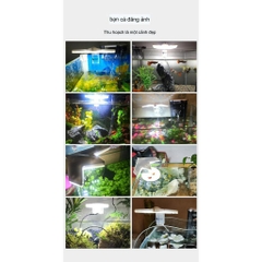 Đèn Led Kẹp Góc hình chân chim Jeneca X1 4w chuyên dùng cho hồ cá