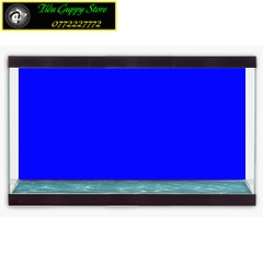 Decal Dán Bể Cá, Dán Nền Hồ Cá Cảnh (Khổ 60cm)