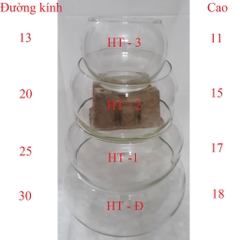 Hồ Cá Tròn Thủy Tình - Thích Hợp Để Bàn Làm Việc và Nơi Diện Tích nhỏ