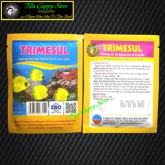 TRIMESUL - Hỗ Trợ Đường Ruột Cho Cá