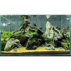 Cát Nắng Vàng Trải Nền Bể Thuỷ Sinh | Cát Trang Trí Bể Cá Cảnh, Thuỷ Sinh