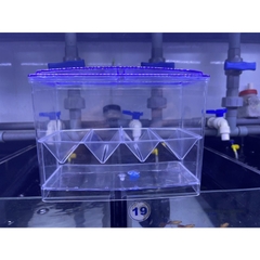 Lồng đẻ Guppy kết hợp Keo show Betta 2 ngăn (Kích thước 18x9x12cm)