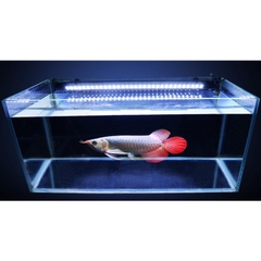 Đèn Led XML Cao Cấp 2 Hàng Bóng cho Hồ Cá Rồng