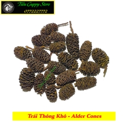 Trái Thông Khô ALDER CONES (Erlenzaphen) - Quả Thông Giảm Stress Cho Tép (bịch 10 trái - 2cm/trái)