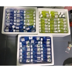 Nuphar Diệt Rêu Tảo Hại - Chuyên Xử Lý Mọi Loại Rêu Tảo Hại Cứng Đầu Cho Hồ Cá